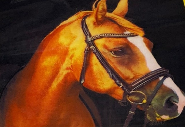 Diamond Painting Paard H329 40 Cm X 50 Cm-